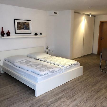 Ferienwohnung Riesterer Friburgo de Brisgovia Exterior foto